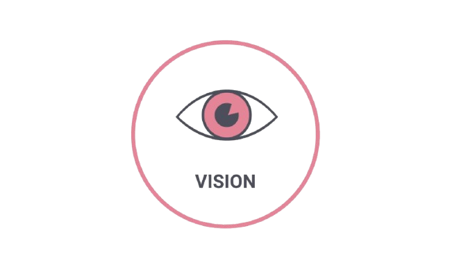 Vision Image